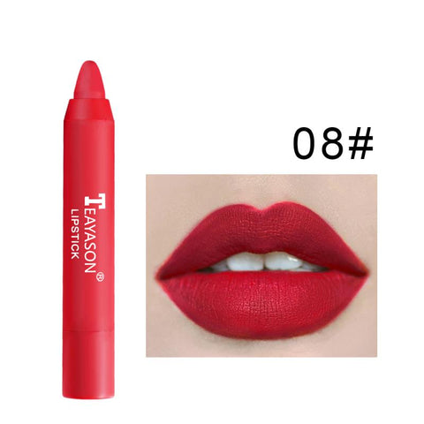 Matte Lipstick Maquillajes Para Mujer Makeup Set Make Up Lasting Lip Gloss Velvet Pigment Batom Waterproof Cosmetic TSLM1