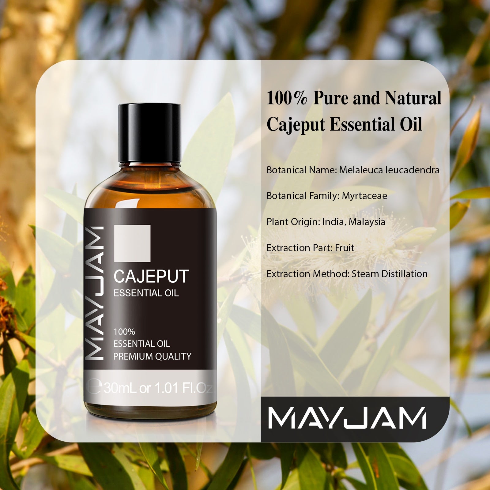 Beyprern 30ml Cajeput Pure Natural Essential Oils Thyme Myrrh Pine Needles Camphor Pepper Fennel Basil Body Massage Ginger Essential Oil